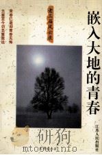 嵌入大地的青春  老三届风云录（1993.10 PDF版）