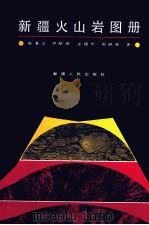 新疆火山岩图册 1989 PDF电子版封面 7228005198 陈炳文;伊献瑞,宋建中,邬继易著