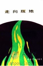 走向腹地   1989  PDF电子版封面  7228010698  吕艺，颜怀堤编 