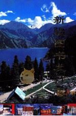 新疆图书发行志 1994 PDF电子版封面 7228033604 《新疆图书发行志》编辑委员会编