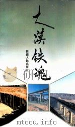 大漠铁魂   1995  PDF电子版封面  7228036794  韩永义主编；哈密铁路分局党委，哈密铁路分局编 