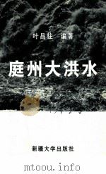 庭州大洪水 1997 PDF电子版封面 7563108718 叶昌柱编著
