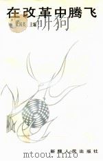 在改革中腾飞  乌鲁木齐市二轻企业报告文学集   1989  PDF电子版封面  722801135X  梁国英主编 