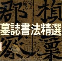 墓志书法精选 第6册 元桢墓志、奚真墓志 1992 PDF电子版封面 7500301162 荣宝斋编辑部编