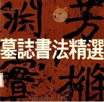 墓志书法精选 第7册 鲜于仲儿墓志、冯氏墓志 1992 PDF电子版封面 7500301170 荣宝斋编辑部编