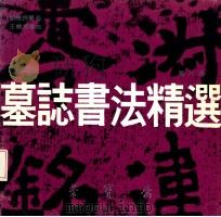 墓志书法精选 第8册 刘怀民墓志、王僧男墓志 1992 PDF电子版封面 7500301189 荣宝斋编辑部编