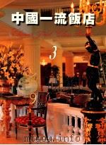 中国一流饭店 3 1995 PDF电子版封面 7112020980 王伯扬主编