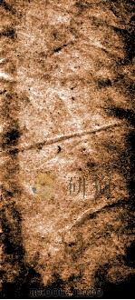 佩文韵府  序  卷1  上（ PDF版）