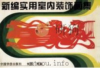新编实用室内装饰画集 1994 PDF电子版封面 780074972 柯桥等编绘