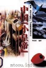 中国“小黄帝”   1998  PDF电子版封面  7211025220  陈金武编著 