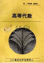 高等代数 1993 PDF电子版封面 7305022071 林成森,盛松柏编