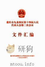 重庆市九龙坡区第十四届人民代表大会第二次会议  文件汇编（1999 PDF版）