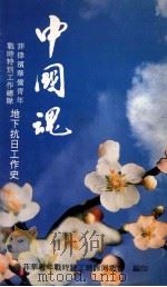 中国魂 菲律宾华侨青年战时特别工作总队地下抗日工作史 1990 PDF电子版封面