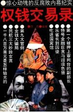 权钱交易录 惊心动魄的反腐败内幕纪实 1993 PDF电子版封面 7304009160 西西编著