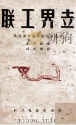 世界工联 共产国际统战的外国组织 PDF电子版封面 端纳荷著;杨继光译