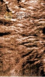 御选四朝诗  御选元诗卷  第13-14（1709 PDF版）