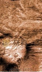 御选四朝诗  御选明诗卷  第27-28（1709 PDF版）