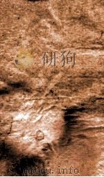 御选四朝诗  御选明诗卷  第31-32（1709 PDF版）