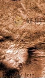 御选四朝诗  御选明诗卷  第35-36（1709 PDF版）