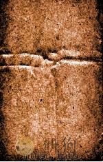 汉魏晋南北朝百三名家集  魏阮元瑜集  卷全（1892 PDF版）