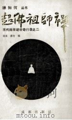 超佛祖师禅 1991 PDF电子版封面 7805752133 程东,薛冬编