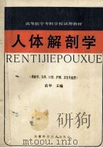 人体解剖学 1989 PDF电子版封面 7533704401 苗华主编;朱治远,江家元,武义鸣等编
