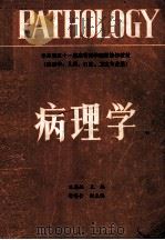 病理学 1986 PDF电子版封面 孔锡鲲主编;徐英含副主编