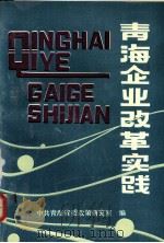 青海企业改革实践（ PDF版）