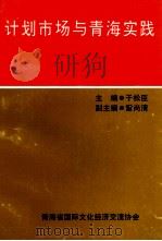 计划市场与青海实践（1991 PDF版）