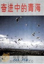 奋进中的青海 1949-1989 1989 PDF电子版封面 7503702680 青海省统计局编