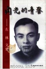 闪光的青春 左林文集 1998 PDF电子版封面 7500915365 左林著;李春生,陈乐天,吴绳武编
