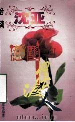 沈亚作品系列 红尘摆渡人 1998 PDF电子版封面 7806695583 (台湾)沈亚著