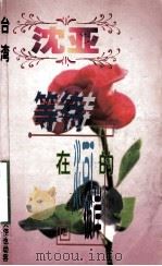 沈亚作品系列 等待,在河的彼岸 1998 PDF电子版封面 7806695583 (台湾)沈亚著