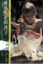 被风吹走的孩子 1995 PDF电子版封面 7539907924 (台湾)沈亚著