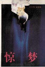 惊梦 1993 PDF电子版封面 7536013809 赵淑敏著