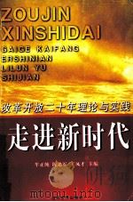 走进新时代 改革开放二十年的理论与实践 1999 PDF电子版封面 7801152336 牟正纯等主编