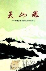 天山魂 新疆少数民族企业家创业记 1989 PDF电子版封面 7501106630 赵航主编;邵强副主编