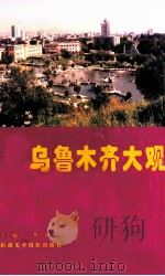乌鲁木齐大观 1995 PDF电子版封面 7805473692 李仲郁主编