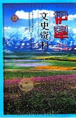 伊犁文史资料 合订本 11-16辑 PDF电子版封面 中国人民政治协商会议伊犁哈萨克自治州委员,中国人民政治协商会