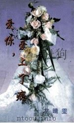 爱你,爱上了瘾 1999 PDF电子版封面 7806695583 左晴雯著