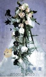 魔女,我要你的爱 1999 PDF电子版封面 7806695583 左晴雯著