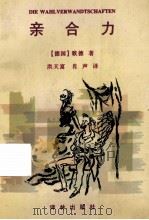 亲合力 1996 PDF电子版封面 7805674868 (德国)歌德著;洪天富,肖声译