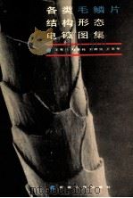 各类毛鳞片结构形态电镜图集 1988 PDF电子版封面 7228006356 王秀兰等编