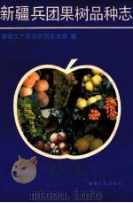 新疆兵团果树品种志 1991 PDF电子版封面 7228015827 新疆生产建设兵团农业局编