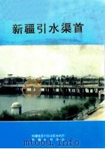 新疆引水渠首 1994 PDF电子版封面 7228029305 李锡龄主编