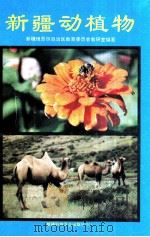 新疆动植物 1993 PDF电子版封面 7537207208 新疆维吾尔自治区教育委员会教研室编著