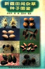 新疆田间杂草种子图鉴   1999  PDF电子版封面  7537216320  薛光华等编著 