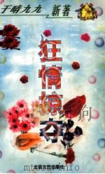 狂情掠夺 1999 PDF电子版封面 7537817310 (台湾)于晴著