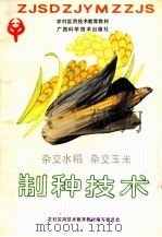 杂交水稻 杂交玉米制种技术 1993 PDF电子版封面 7805657866 季绒倩,黄积金编写;季绒倩主编