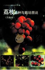 荔枝品种与栽培图说 普及版 1999 PDF电子版封面 7806322108 广东省农业科学院果树研究所著;张展薇主编